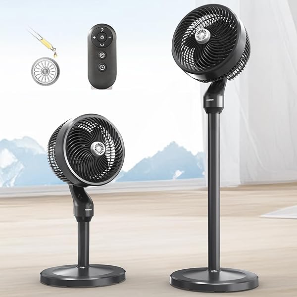 Oscillation Fans