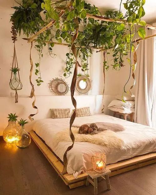 hanging plants