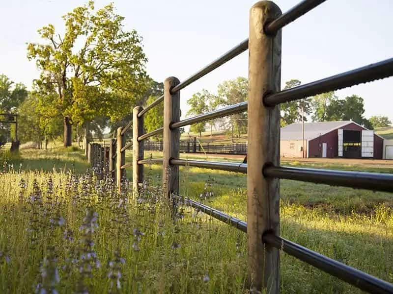metal ranch fence