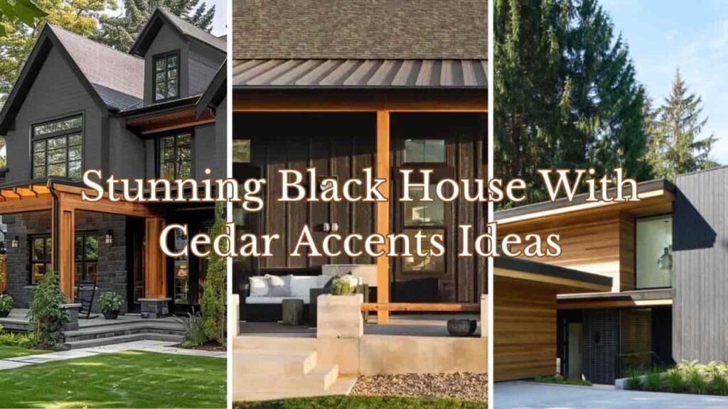 an image with text "Stunning Black house with cedar accents ideas"
