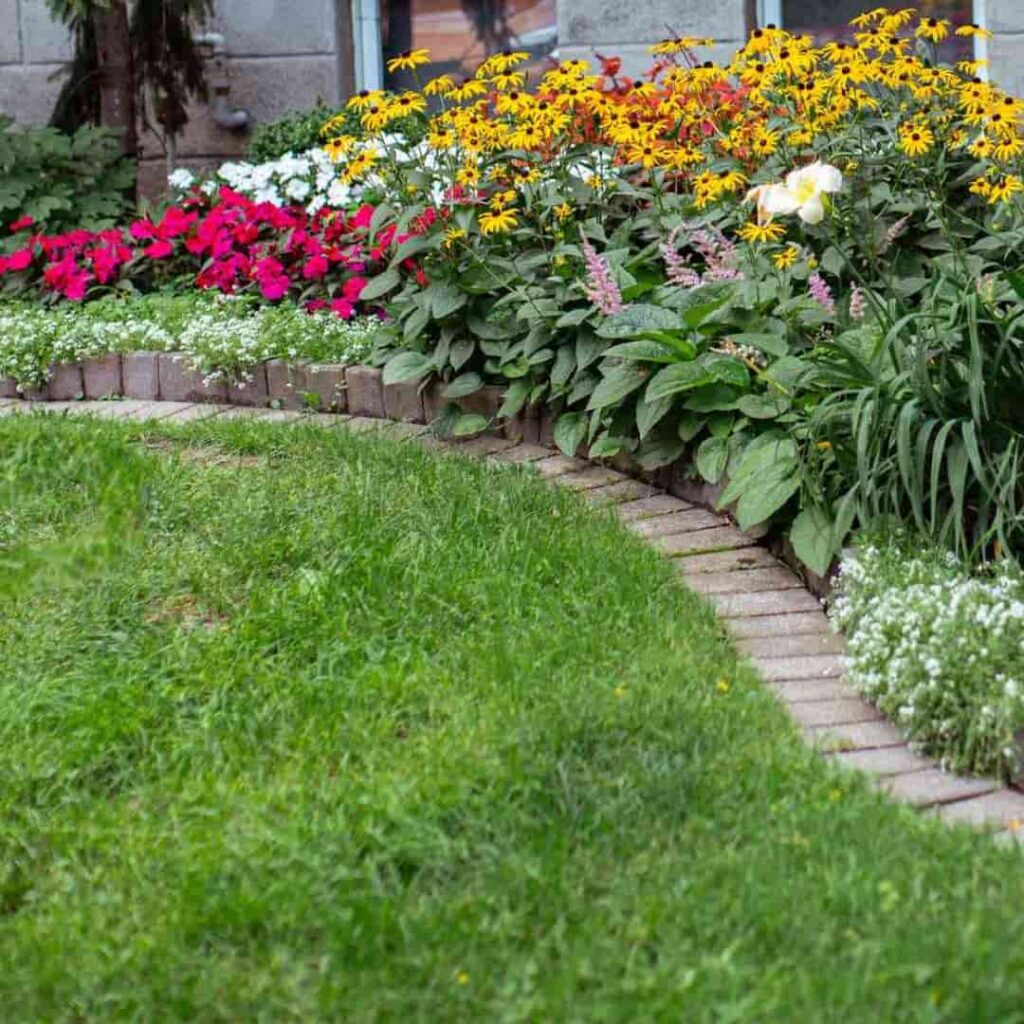 an image representing a fairytale english cottage garden borders filled with flower