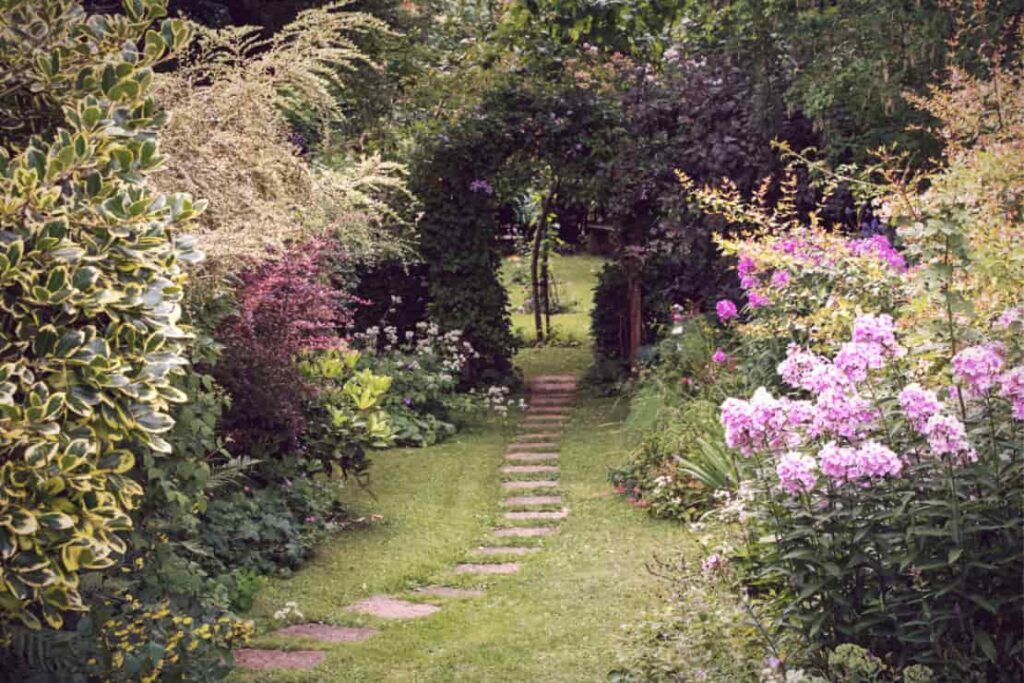 an image of different types of plans and flowers for fairytale english cottage garden