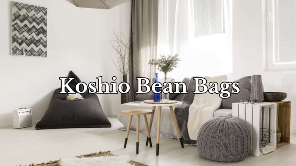 image with text "koshio bean bag"