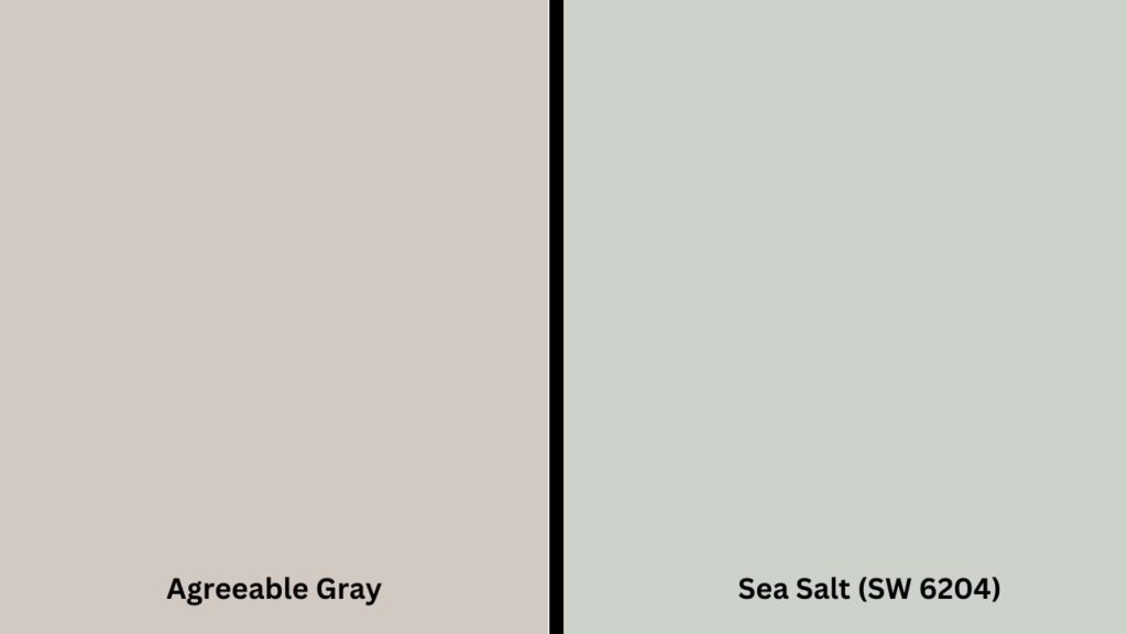 Sea Salt (SW 6204) and agreeable gray