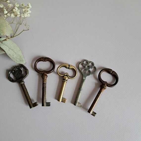 Five different color and shapes bit key