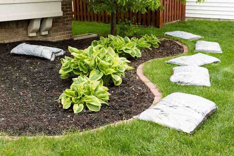 Mulching in the backyard garden