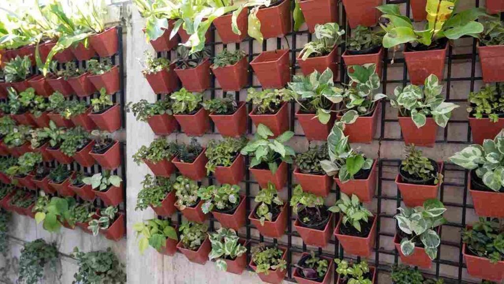 Trellis garden display with clay pots