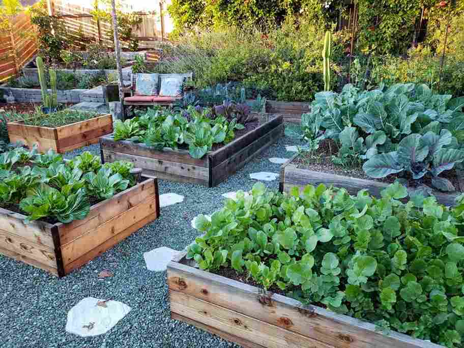 Wooden raised bed foe the vegetable garden 