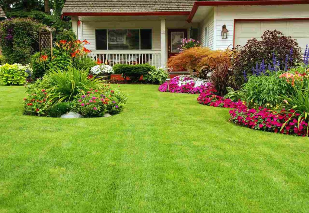 a 1000 square feet lawn