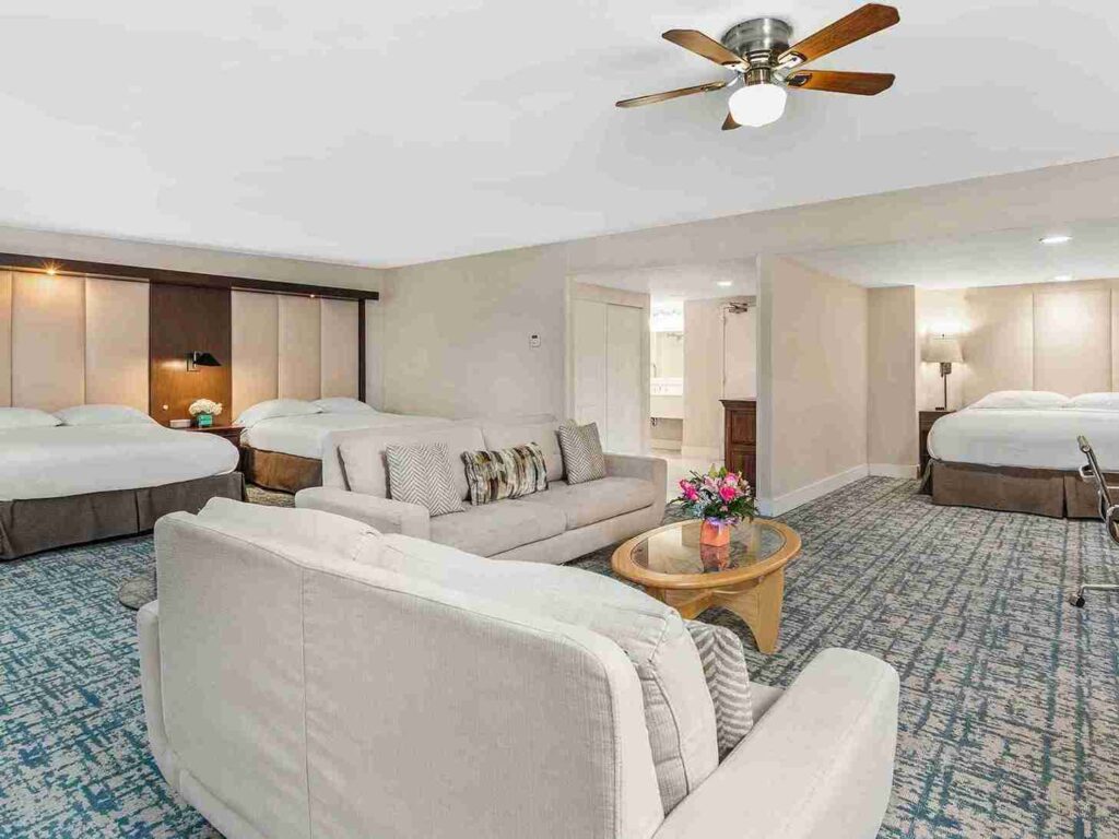 Hotel Suite Room