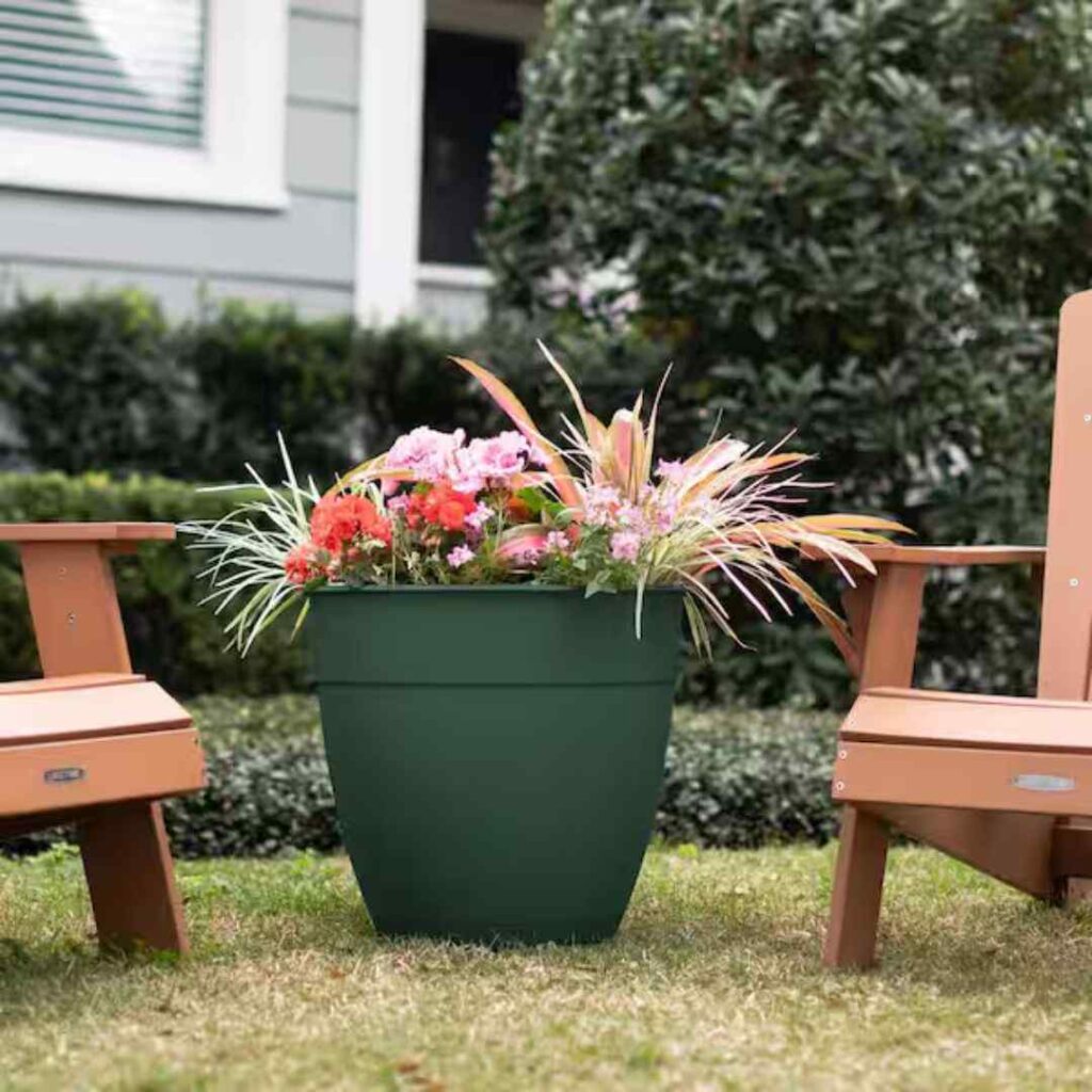 Houseplants pots