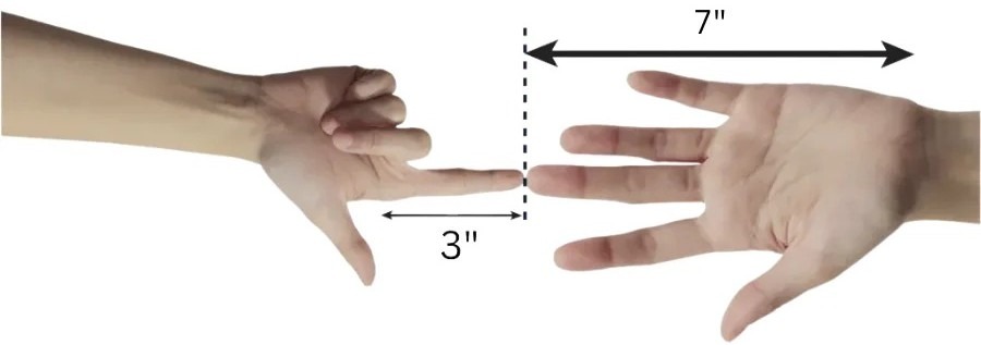 How Long is 10 Inches Compared to a Human