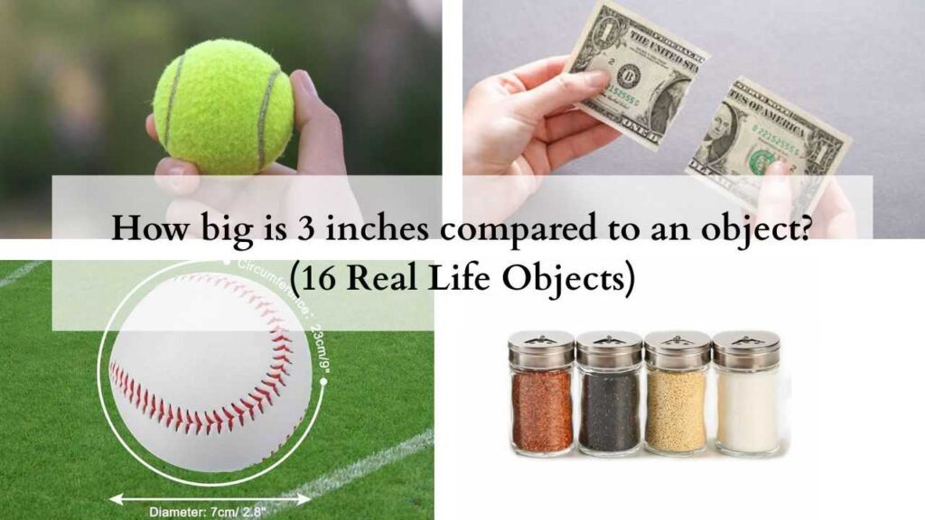 How big is 3 inches compared to an object (16 Real Life Objects)