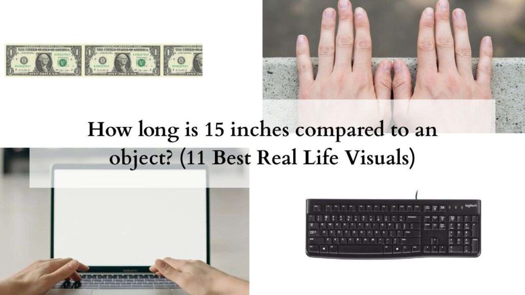 How long is 15 inches compared to an object (11 Best Real Life Visuals)