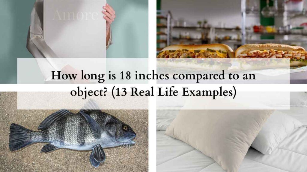 How long is 18 inches compared to an object (13 Real Life Examples)