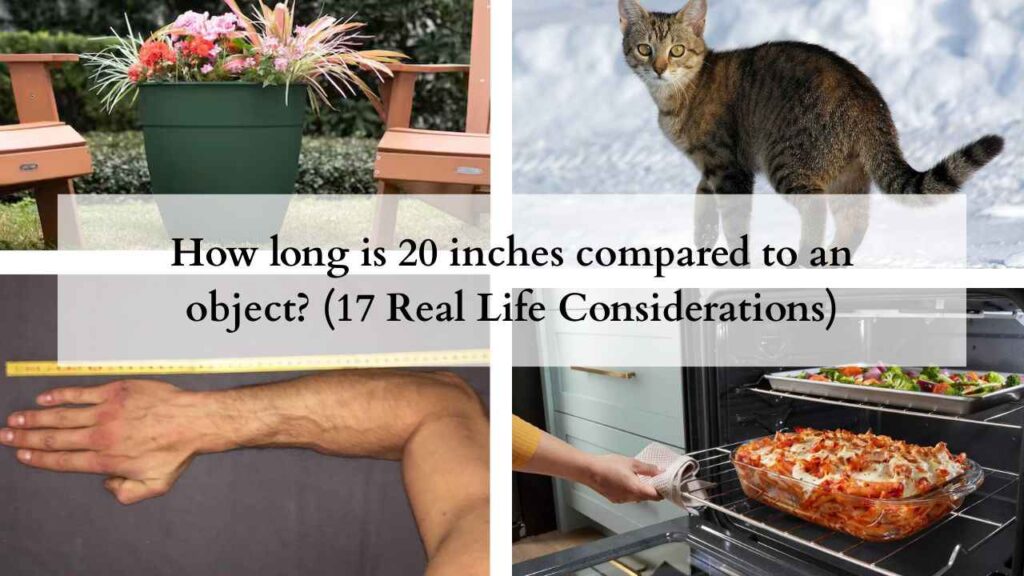 How long is 20 inches compared to an object (17 Real Life Considerations)