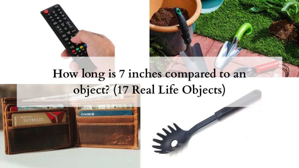How long is 7 inches compared to an object (17 Real Life Objects)