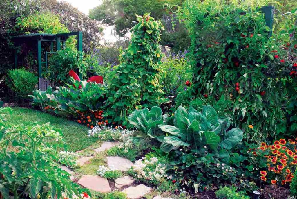 Small Garden 