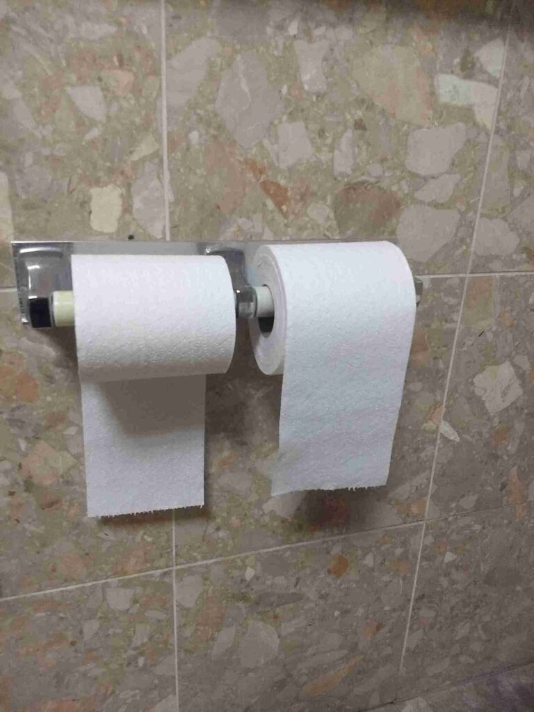 Two Toilet Paper Rolls