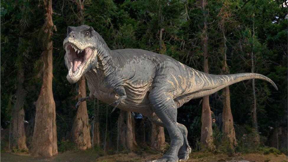 Tyrannosaurus Rex
