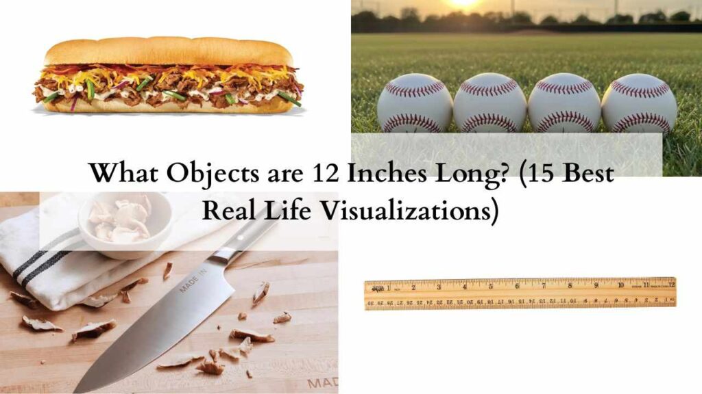 What Objects are 12 Inches Long (15 Best Real Life Visualizations)