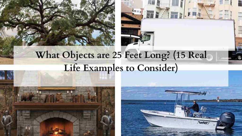 What Objects are 25 Feet Long (15 Real Life Examples to Consider)