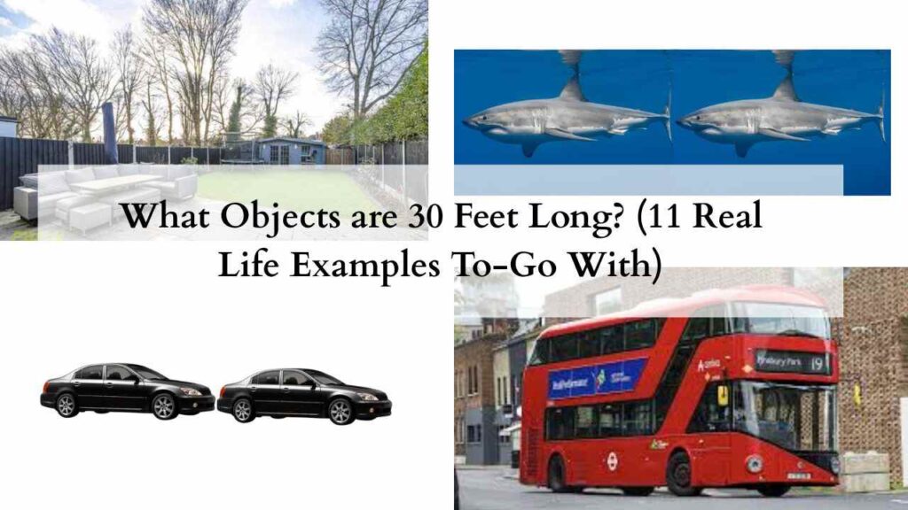 What Objects are 30 Feet Long? (11 Real Life Examples To-Go With)