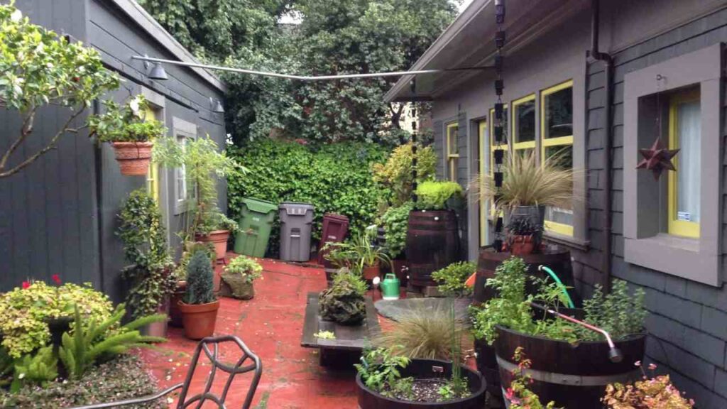 a 500 sqft yard