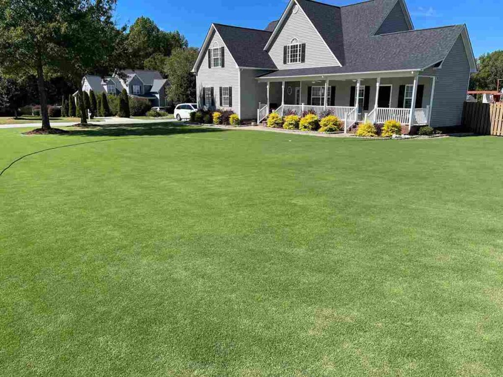 a yard 1000 square feet