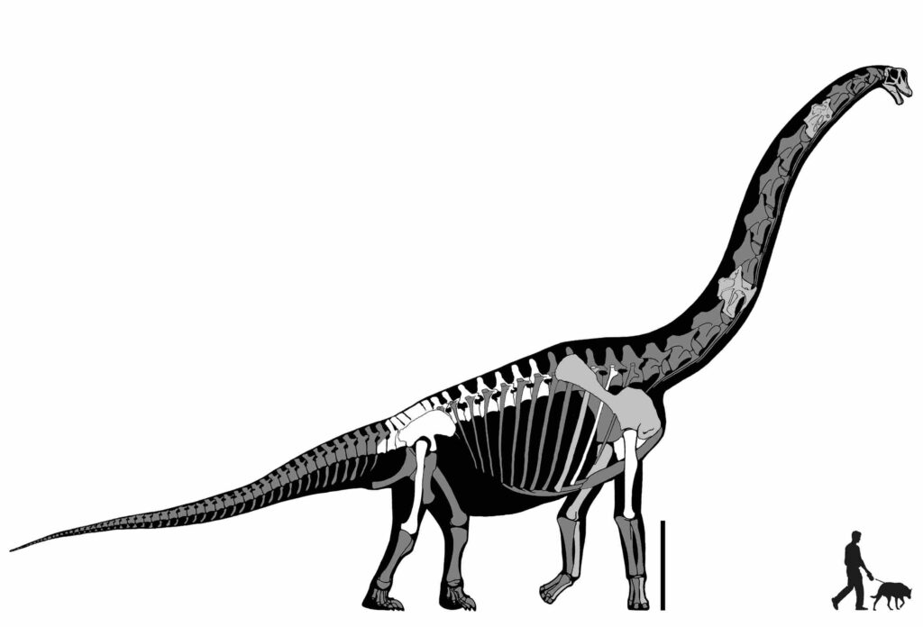 man vs 50 feet dinosaur comparison