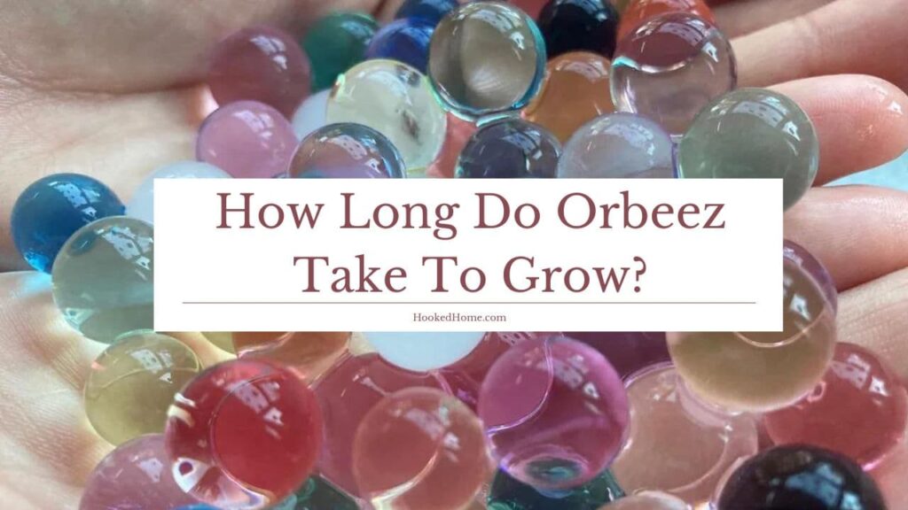 how long does it take for orbeez to grow