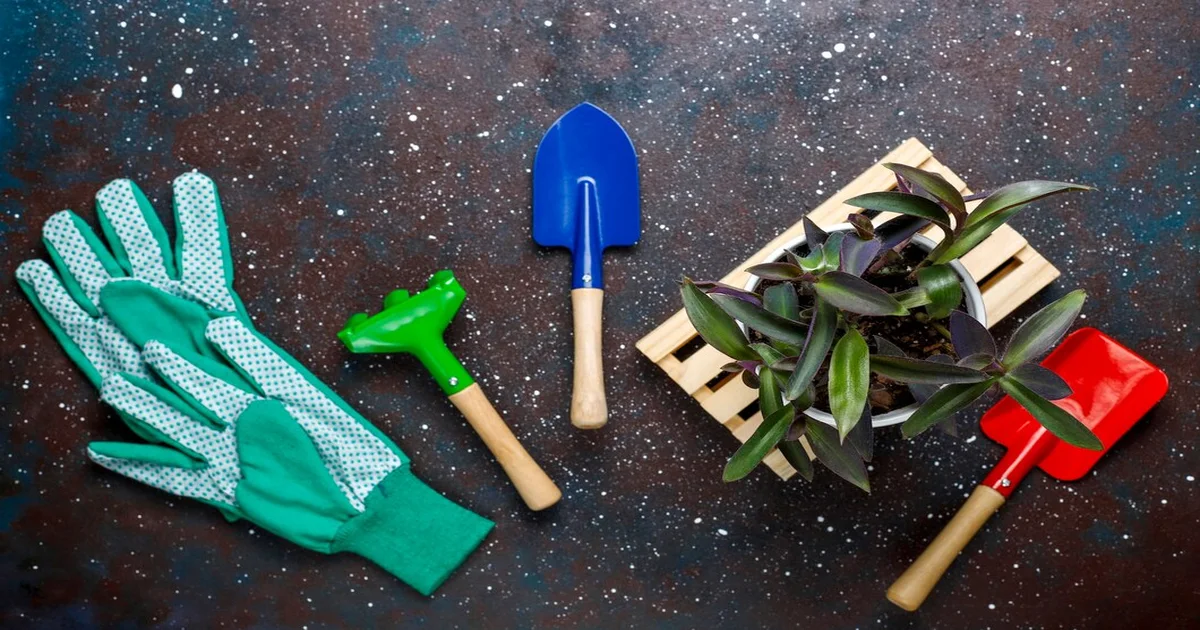 lawn care tools
