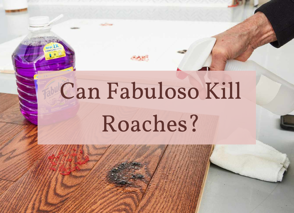 can fabuloso kill roaches