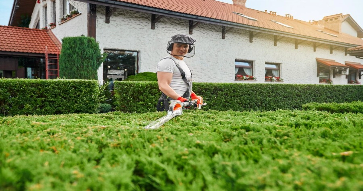 Should I hire a lawn care company