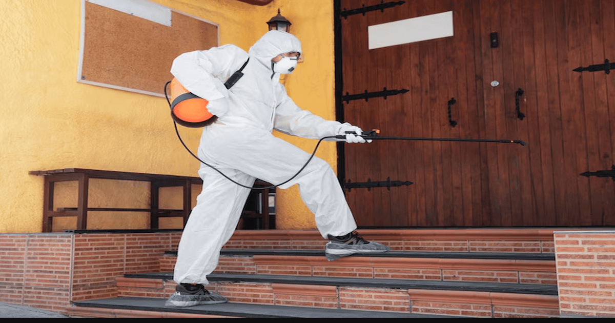 pro pest control