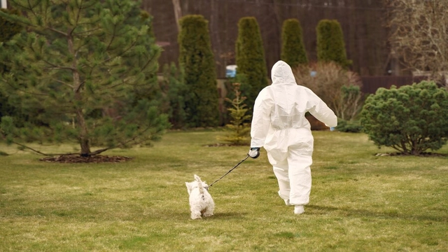 natural pest control