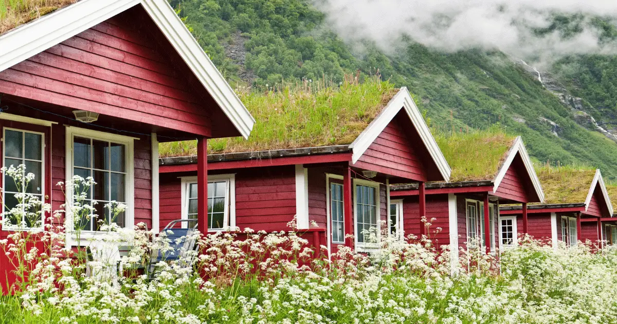 green roofing