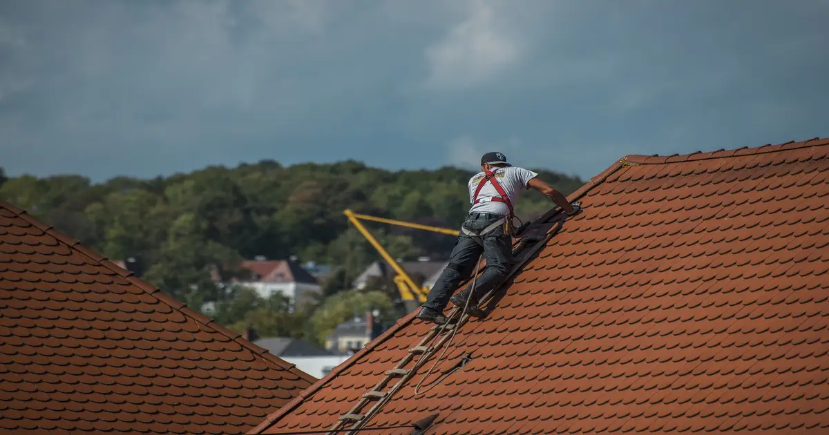 PVC Roofing