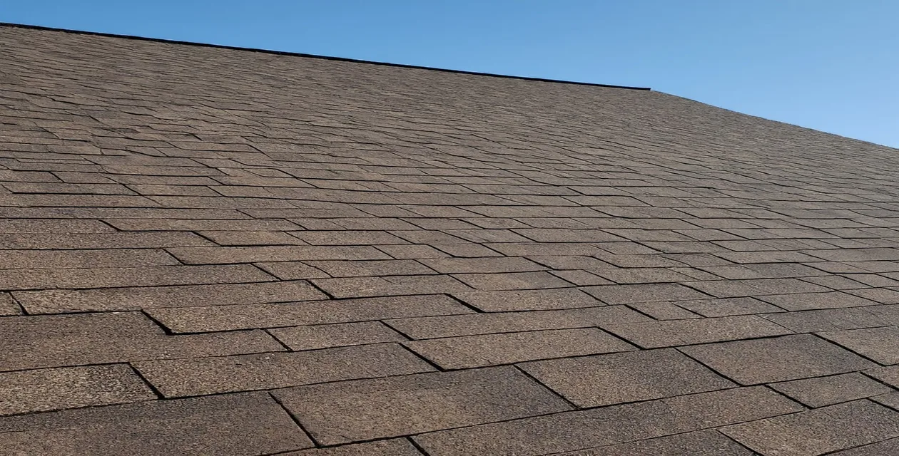Roof shingles
