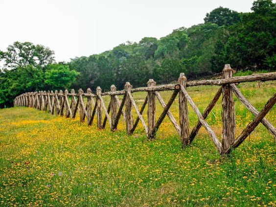 rustic log fence