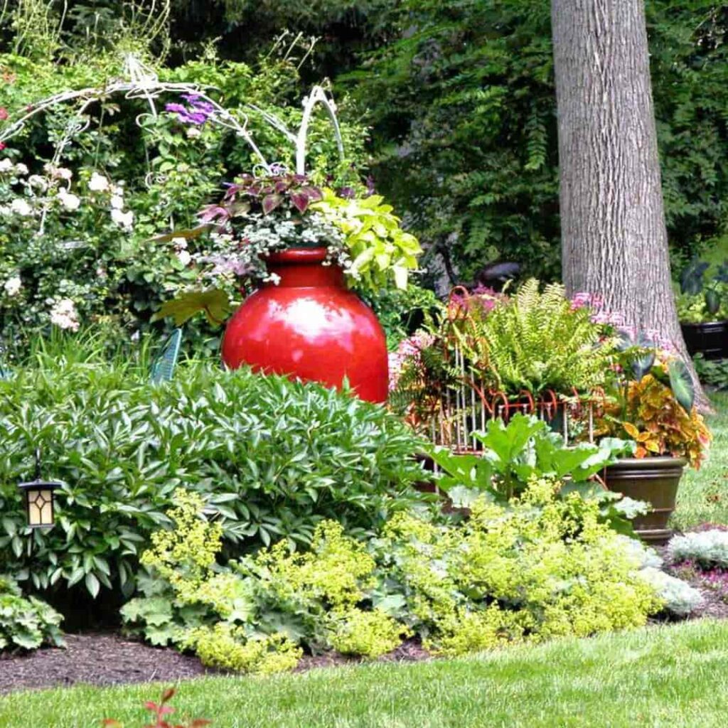 a flower bush in a garden