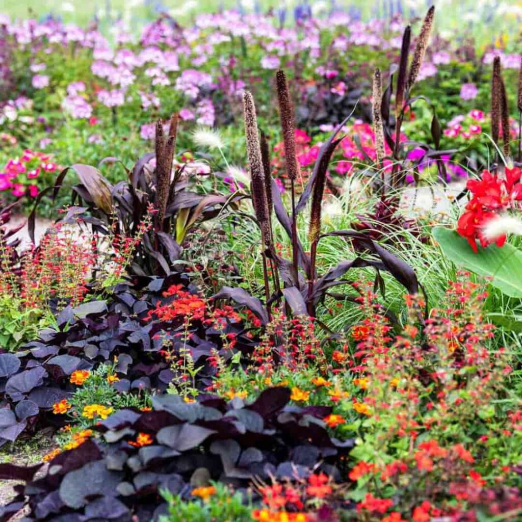 an image of different flowers in an english cottage garden