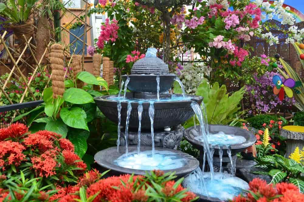 an image of a colorful oasis in a beautiful garden