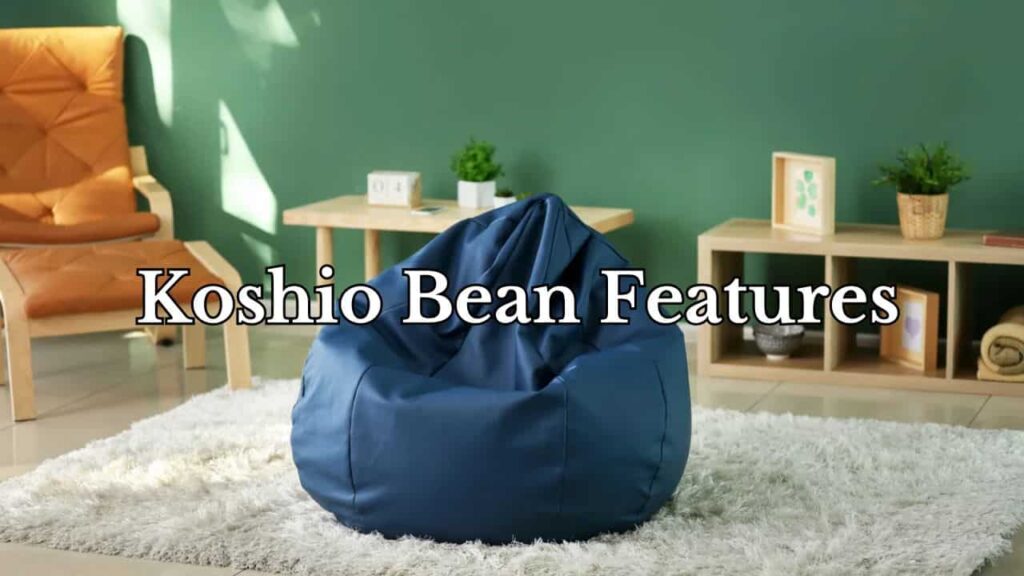 an image of a koshio bean bag