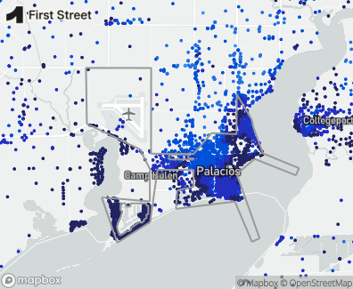 Palacios flood risks data / Map