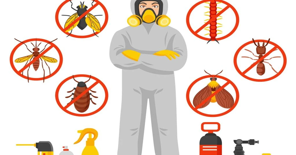Pest Control Treatment Cost