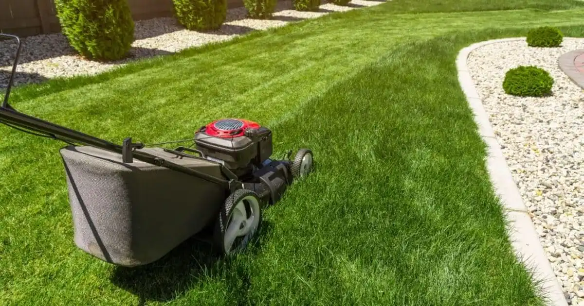 Lawn Care Hacks