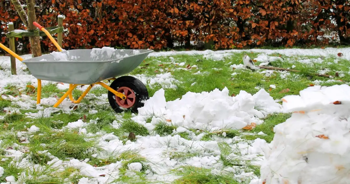 Winter Lawn Care Tips