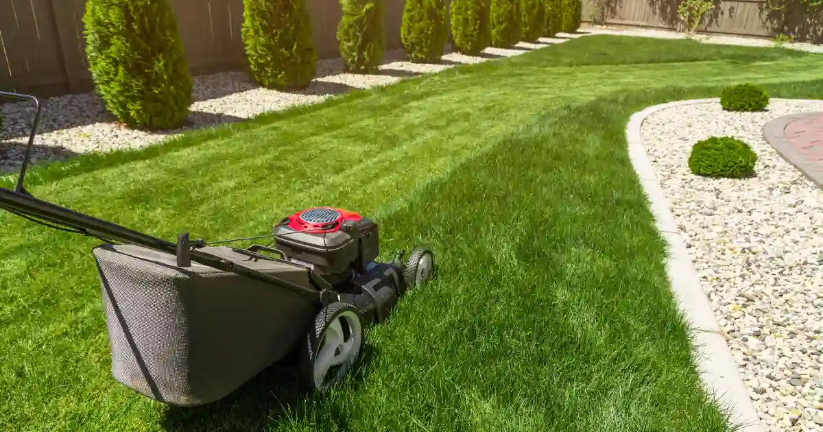 Why is Lawn Edging Important?