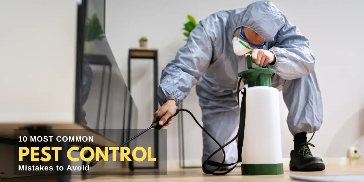 Most Common Pest Control Mistakes to Avoid